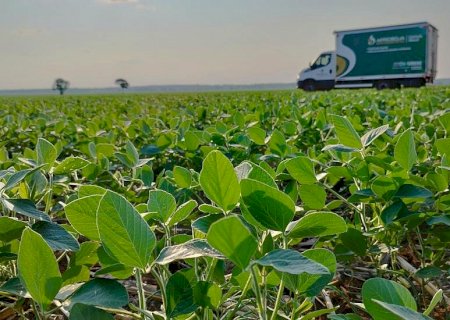 Dourados sediará 12º Encontro Nacional da Soja em agosto