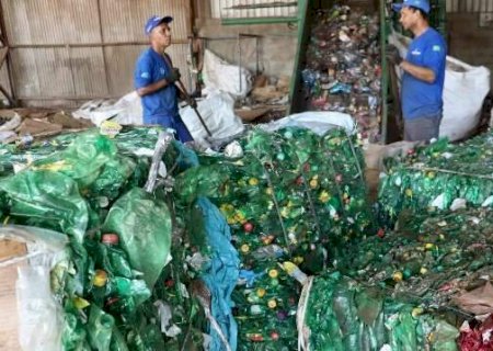 MS lidera ranking de log&iacute;stica reversa: 13 kg de material reciclado por pessoa