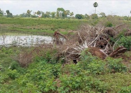 Minist&eacute;rio P&uacute;blico investiga inc&ecirc;ndio que destruiu 427 hectares no Pantanal