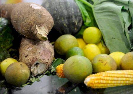 Preço da cesta básica cai em 15 de 17 capitais pesquisadas