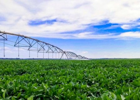 &Aacute;rea irrigada em MS cresce 63% em nove anos, com 320 mil hectares