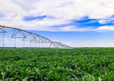 Irrigação impulsiona agricultura sustentável e coloca MS entre líderes na produção