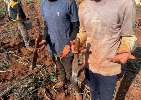 Força-tarefa resgata sete paraguaios vítimas de trabalho escravo em município de MS