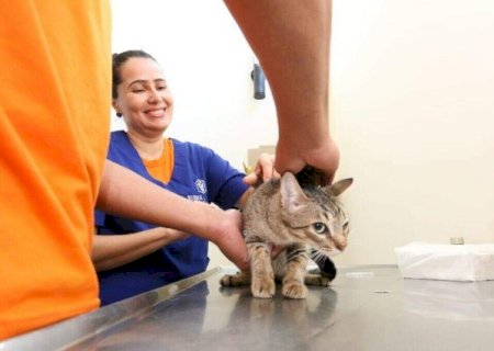 Regi&atilde;o do Aero Rancho recebe mutir&atilde;o para peta nesta semana