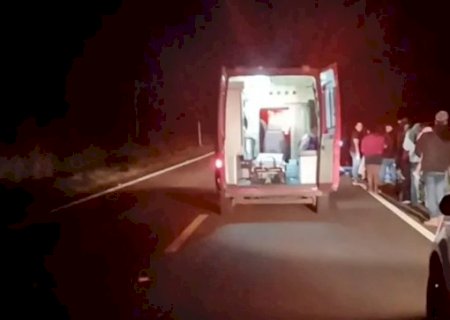 Fiat Uno colide com vacas soltas e deixa tr&ecirc;s feridos na MS-430