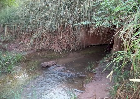 MP apura lançamento de esgoto sem tratamento no córrego Laranja Doce