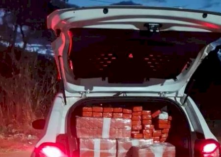 Reintegra&ccedil;&atilde;o de posse revela dep&oacute;sito de maconha em resid&ecirc;ncia na Capital