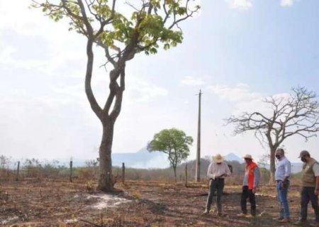 Desmatamento do Cerrado em MS cai 9,4%, mas patamar ainda preocupa
