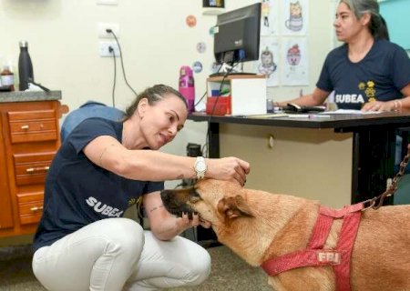Vacina&ccedil;&atilde;o e consulta veterin&aacute;ria gratuita chegam a cinco bairros em agosto