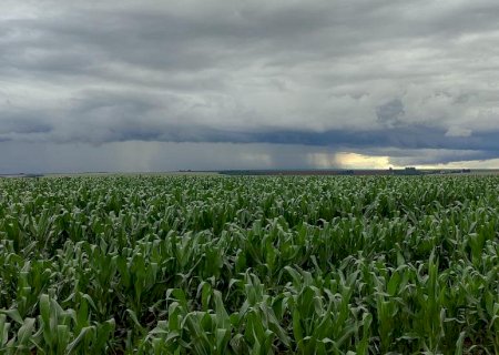Sem El Niño e La Niña, produtores enfrentam desafio no planejamento das atividades agrícolas