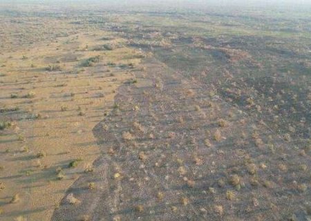 MP investiga inc&ecirc;ndio de 259 hectares em fazenda de Jamil Name Filho