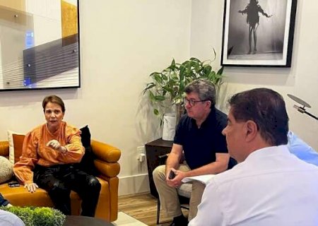 Senadores de MS chegam aos EUA e alinham prioridades de reuni&otilde;es