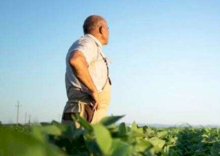 Endividamento no campo: 1&ordf; solu&ccedil;&atilde;o para o produtor rural