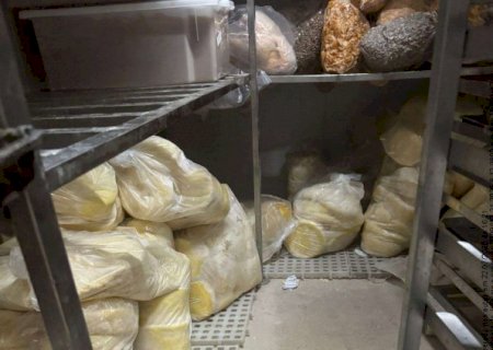 Dono de padaria lacrada foi preso em flagrante por vender produtos vencidos