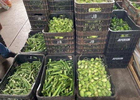 Saiba o que ficou mais barato na última semana de julho na Ceasa-MS