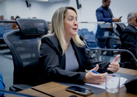 Mutirão de castração para Dourados é solicitado por Lia Nogueira