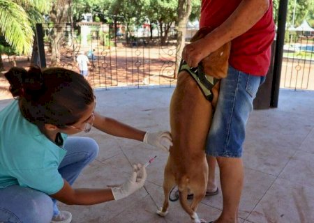 CCZ far&aacute; mutir&atilde;o de atendimentos gratuitos para pets na Pra&ccedil;a Ary Coelho