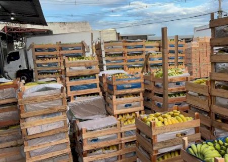 Qual vende mais? Veja quais frutas e hortali&ccedil;as mais sa&iacute;ram na Ceasa