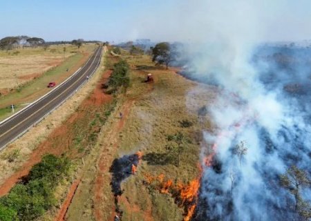 Cabo rompido pode ter iniciado inc&ecirc;ndio em vegeta&ccedil;&atilde;o de fazenda