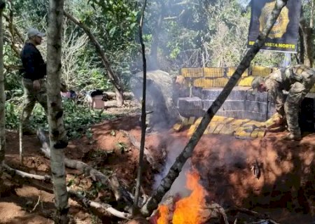 Opera&ccedil;&atilde;o na fronteira destr&oacute;i 7 toneladas de maconha em reserva