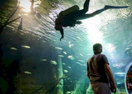 Bioparque j&aacute; conseguiu reproduzir 2 esp&eacute;cies criticamente amea&ccedil;adas de extin&ccedil;&atilde;o