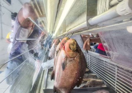 Voc&ecirc; pretende aproveitar a Semana do Pescado? Participe