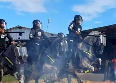 Para alta performance, cavalos da PM consomem  R$ 3,9 milh&otilde;es em ra&ccedil;&atilde;o