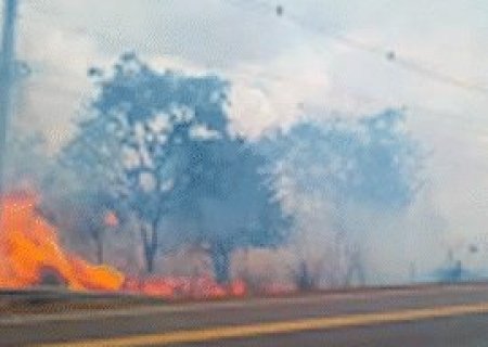 Inc&ecirc;ndio atinge vegeta&ccedil;&atilde;o &agrave;s margens da BR-163 em Campo Grande