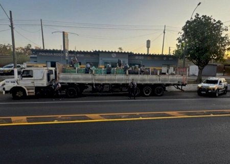 Maior apreensão de maconha em SP saiu de MS escondida em placas de gesso