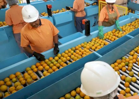 Exportação de produtos atingidos por tarifaço cai 22% em agosto