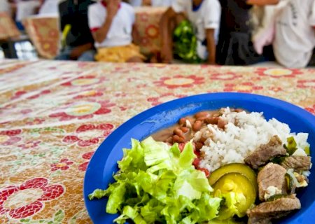 Câmara aprova projeto de compra de alimentos para merenda escolar