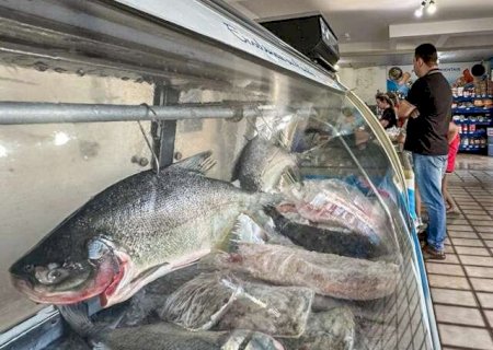 Enquete: 81% dos leitores dizem que n&atilde;o v&atilde;o aproveitar a Semana do Pescado