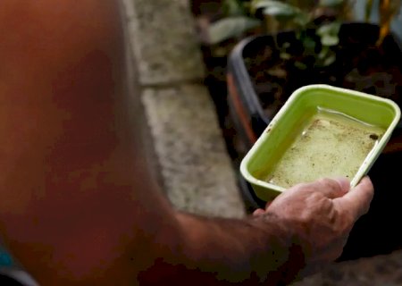 Chikungunya traz preocupações após uma década de presença no Brasil