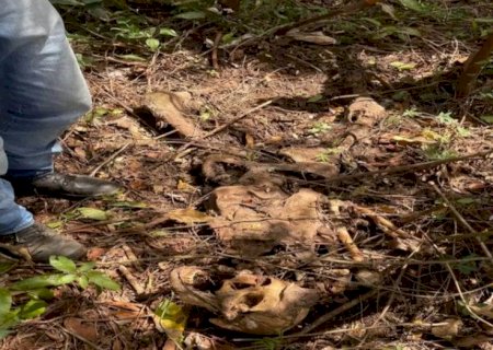 Ossada humana é encontrada em área de preservação ambiental em Maracaju