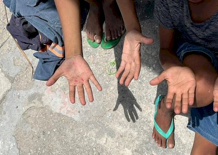 Trabalho infantil no país cai 21,4% em oito anos, mostra IBGE
