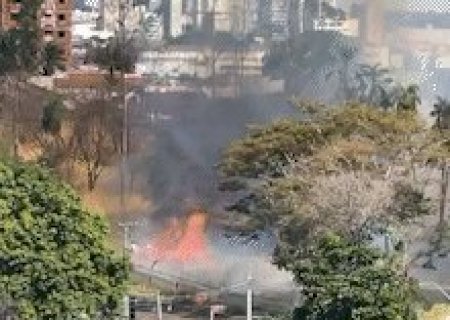 Calor de 35&deg;C e ventos fortes intensificam inc&ecirc;ndio em mata no S&atilde;o Francisco