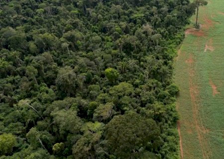 Brasil apresenta soluções de financiamento climático em Nova York