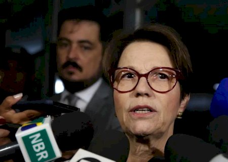 Tereza Cristina diz que julgamento de Bolsonaro pode gerar mais sanções dos EUA