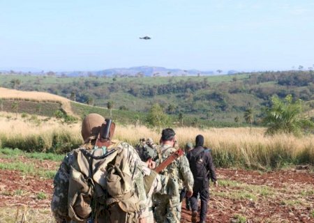Operação retira quase 600 toneladas de maconha de circulação na fronteira