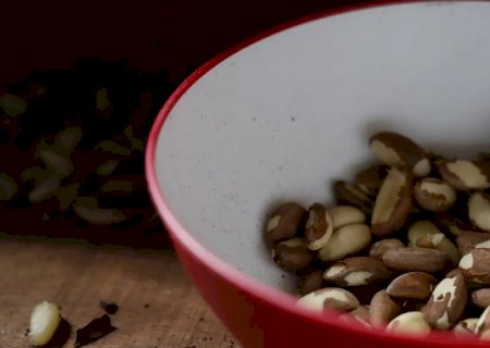 Agricultura familiar do Nordeste vai à maior feira mundial alimentos