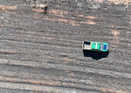 PMA aplica R$ 29 milhões em multas por incêndios florestais, aponta levantamento