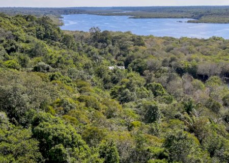 Revista The Economist elogia ações do Brasil para salvar as florestas