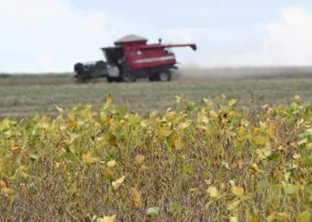 Mato Grosso do Sul inicia plantio da maior safra de soja da hist&oacute;ria