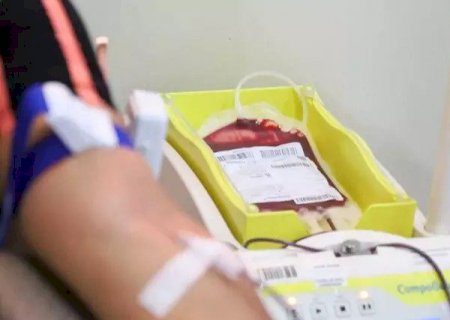 Dia do Servidor P&uacute;blico ter&aacute; ponto de coleta de sangue na Sefaz