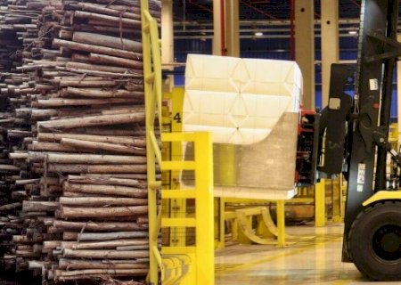 Com celulose na lideran&ccedil;a, MS alcan&ccedil;a super&aacute;vit de US$ 6,34 bilh&otilde;es