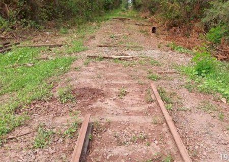 Concession&aacute;ria &eacute; multada em R$ 2,1 milh&otilde;es por canibalizar a Malha Oeste