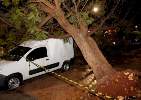 &Aacute;rvore cai sobre dois carros e derruba fios no Santa F&eacute;
