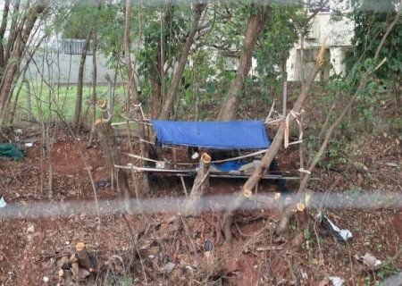 Retirada de &aacute;rvores revela vida escondida durante anos em &aacute;rea nobre da Capital