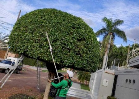 Empacotador e jardineiro est&atilde;o entre as vagas de trabalho desta ter&ccedil;a-feira