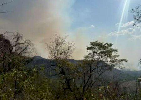 Queimadas no Norte j&aacute; afetam qualidade do ar em Campo Grande